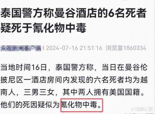 王子琪最新爆料新闻事件,揭秘娱乐圈惊人内幕